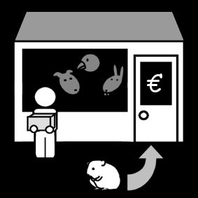 hamster: porter au magasin d'animaux